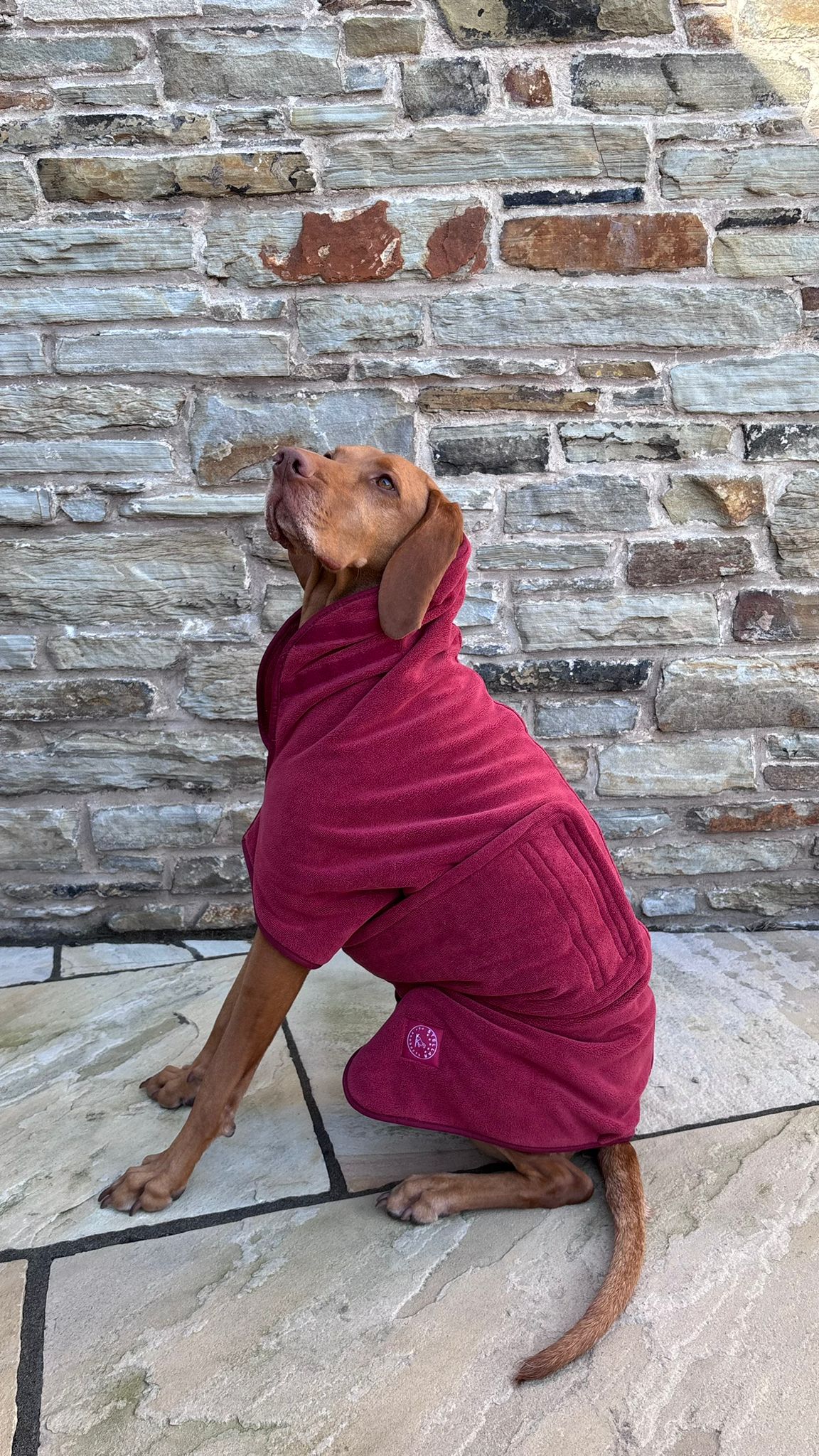 Stellar Pet Products Dry Robes