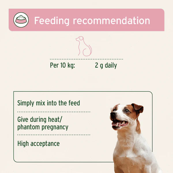 AniForte® Hormone Balance 80g - For Female Dogs – Nature's Pets Ltd