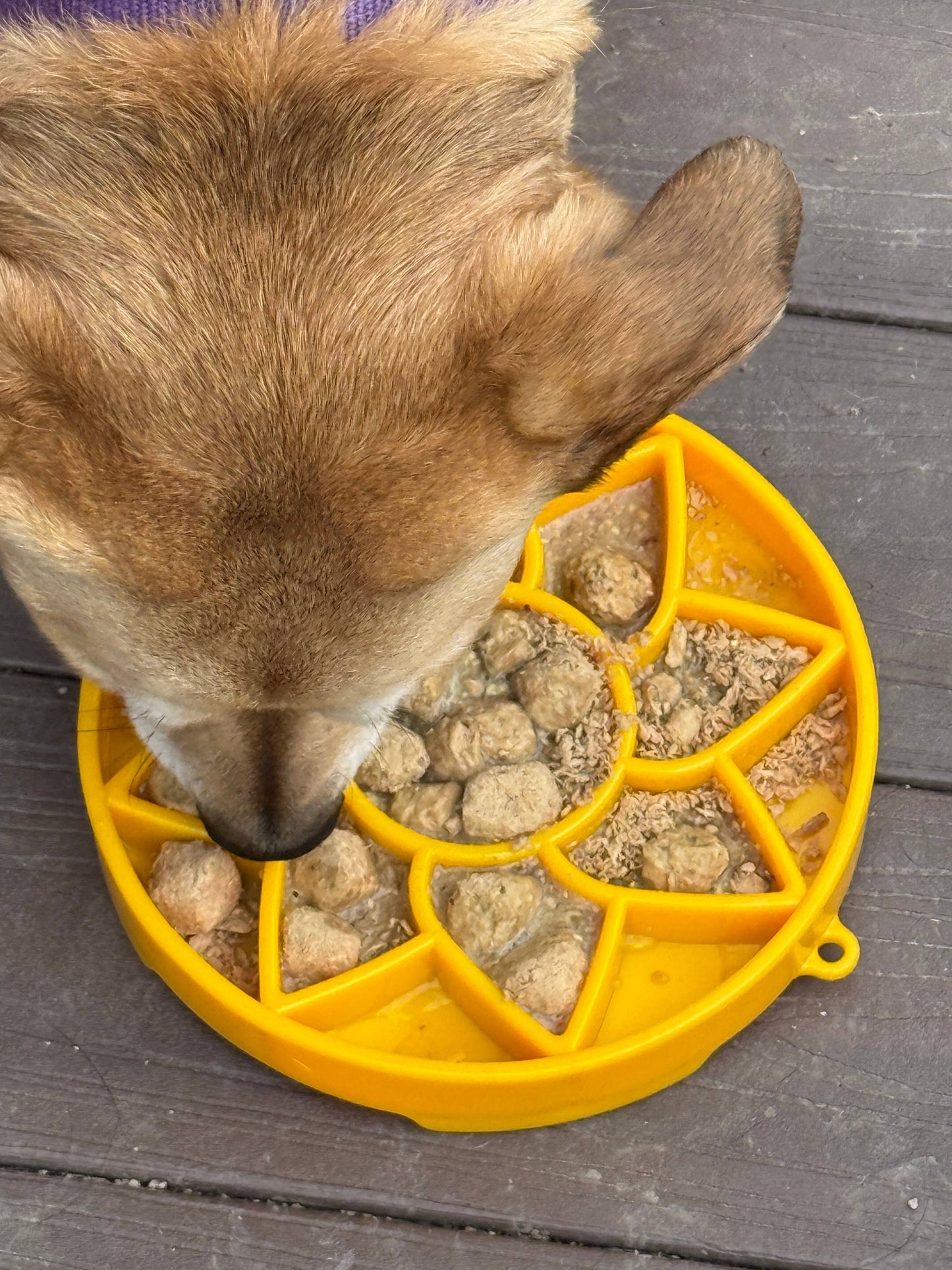 Sunflower Design eTray Enrichment Slow Feeder Tray for Dogs - Yellow