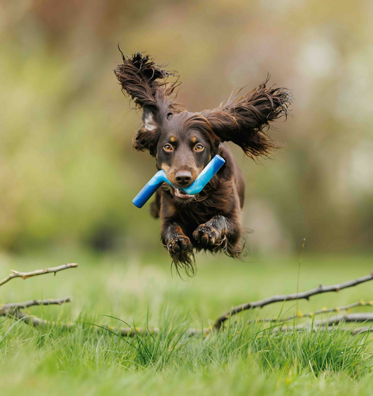 ZigZoom™ Interactive Safe Fetch Recycled Rubber Dog Toy