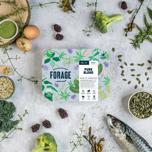 Forage: Pure Blend