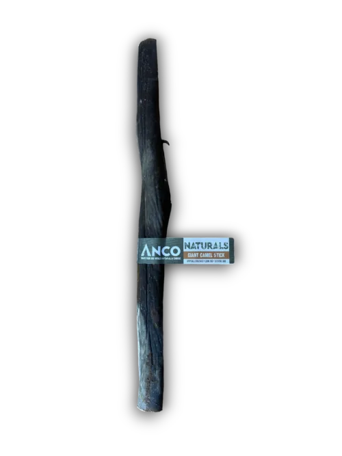 Giant Camel Stick
