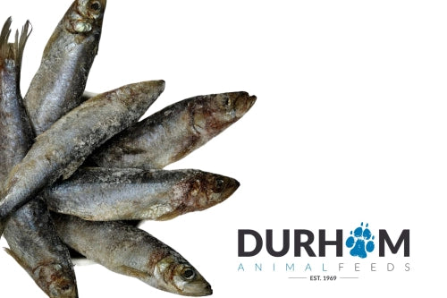 Raw Mackerel 1kg